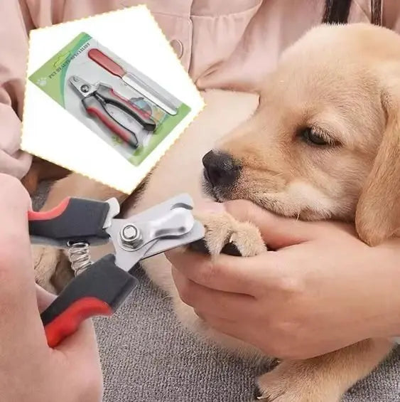 Best Dog Nail Clippers - Safe & Easy to Use Trandingstor.shop