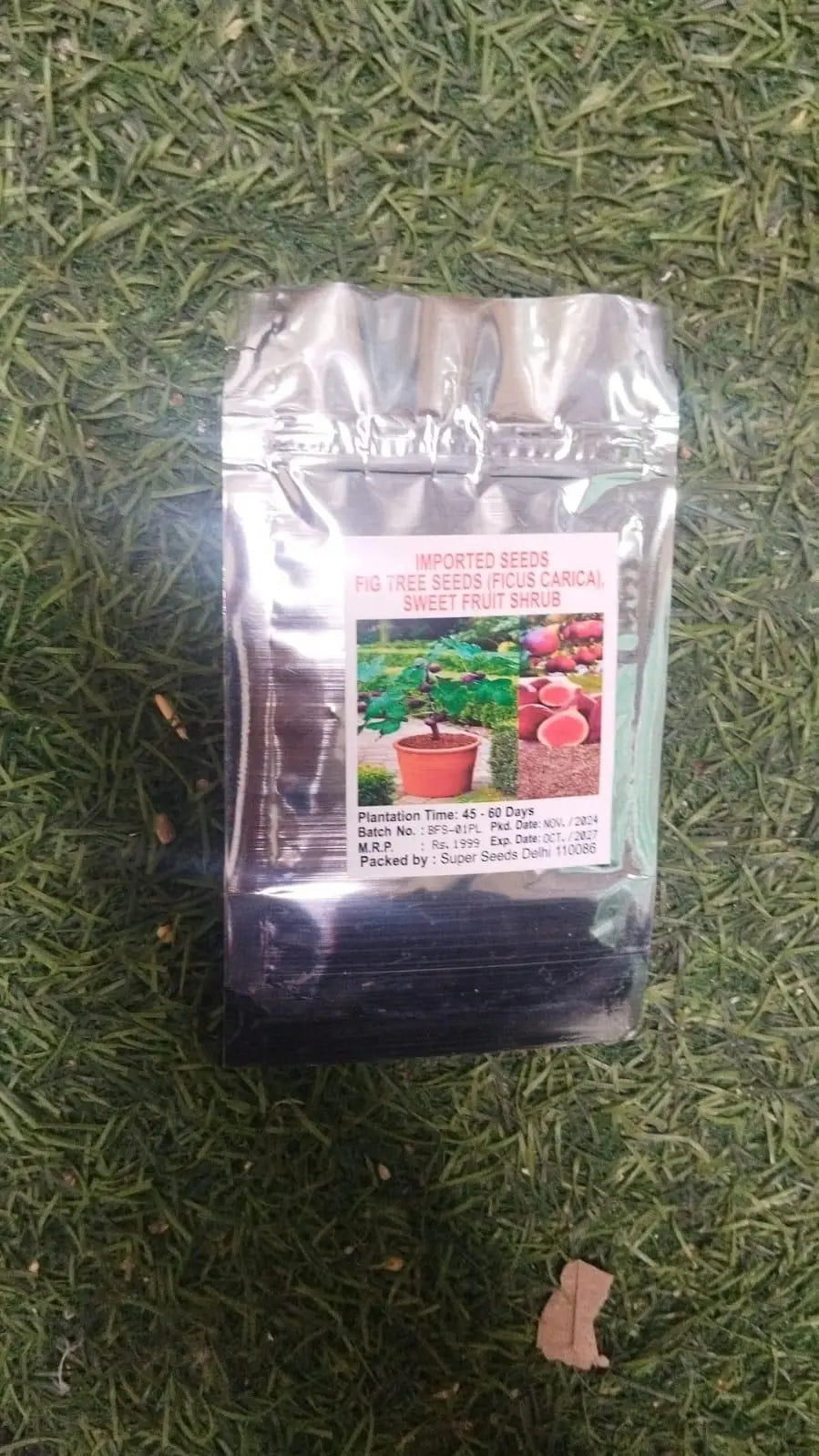 The Latest Ornamental And Edible Mint Varieties - Trandingstor.shop