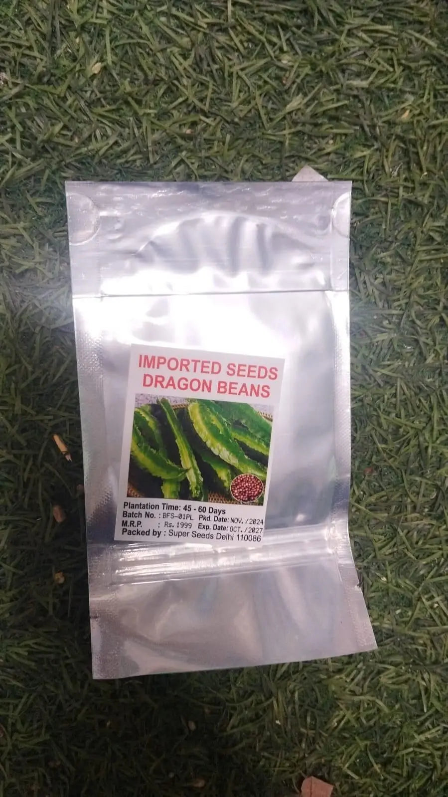 Dragon Been Seeds Trandingstor.shop