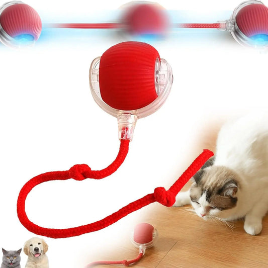 Interactive cat ball toy with a red design and clear casing for engaging playtime with pets