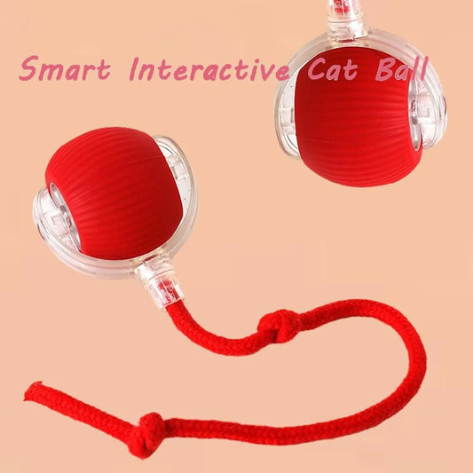 Smart interactive cat ball toy with a red rubber exterior and clear design for engaging pet playtime