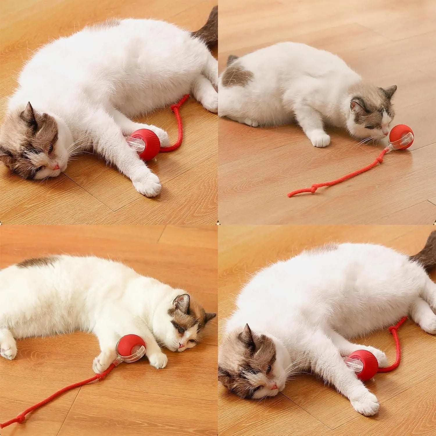 Interactive cat ball toy with string, designed for engaging playtime with your feline friend