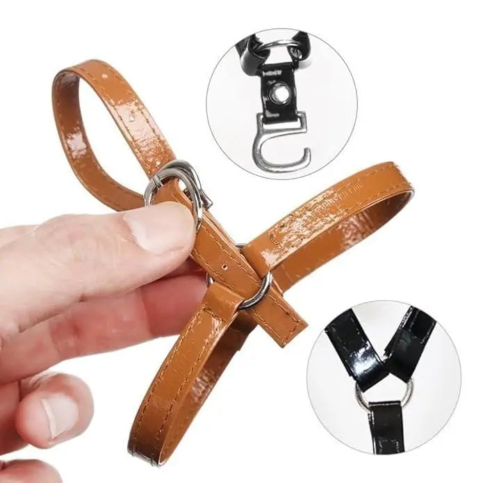 Women's Detachable High Heels Shoelace Straps Trandingstor.shop