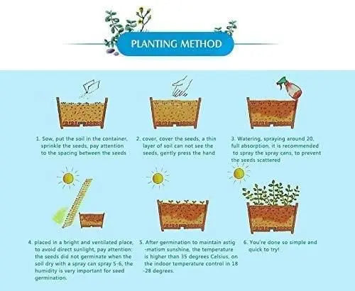 Planting method guide for mix colour bougainvillea seeds with step-by-step instructions for successful growth